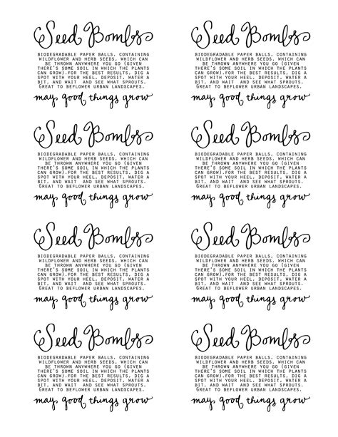 Seed Bomb Instructions Printable